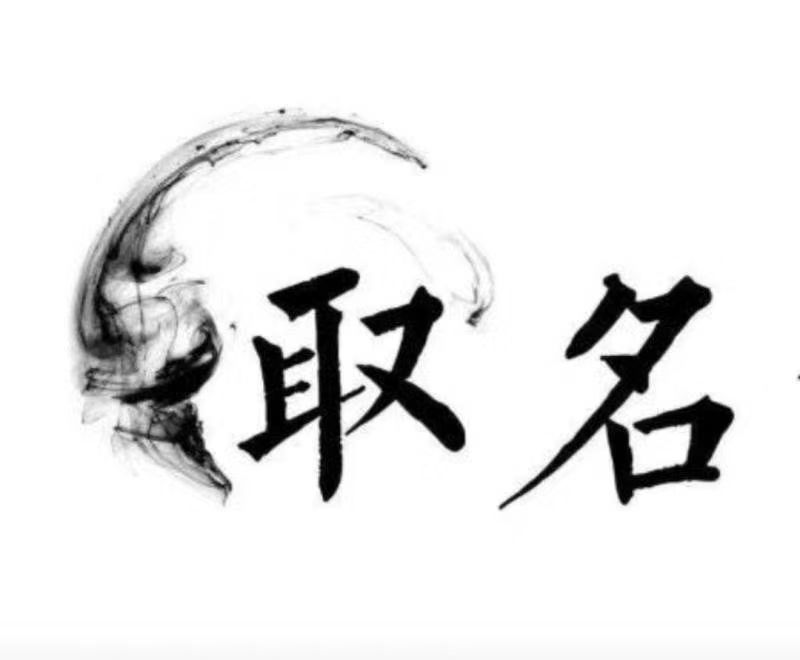  维西宝宝取名 大师一对一人工起名