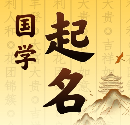 维西国学起名 人工起名一对一